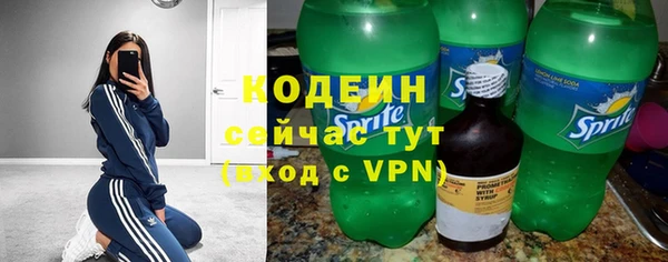 ГАЛЛЮЦИНОГЕННЫЕ ГРИБЫ Заводоуковск