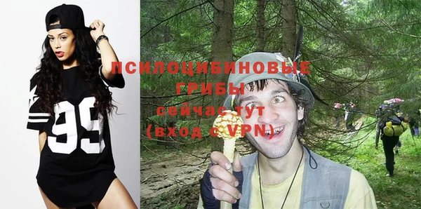 ГАЛЛЮЦИНОГЕННЫЕ ГРИБЫ Заводоуковск