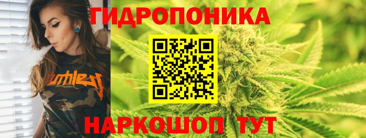 МАРИХУАНА ГИДРОПОН  Каннабис сатива  Кашира  Шишки марихуана марихуана  Вход с VPN 